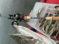 FISCHE 2013 006.jpg
