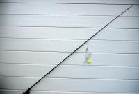 DSC01750.jpg