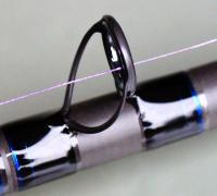 DSC01755.jpg