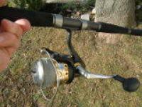 WFT Cat Fighter 013.jpg