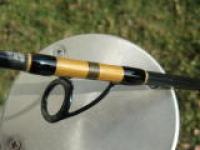 WFT Cat Fighter 024.jpg