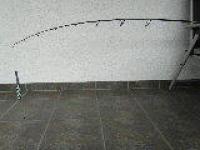 FISCHE 2014 019.jpg
