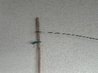 FIGTHER 002.jpg