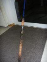 P1050403 (Custom).jpg