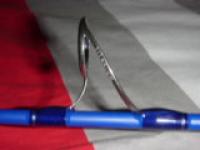 P1050431 (Custom).jpg