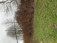 346ED26F-F779-4E2B-981C-208132F6AB73.jpeg