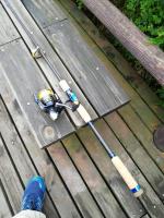 IMG_20210513_091401 (2232 x 2976).jpg