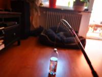 IMG_20210602_143719.jpg