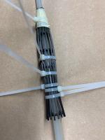 IMG_7203.jpeg