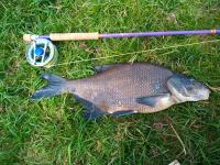 IMG_20220501_114452_862_compress33.jpg