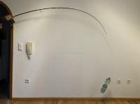 IMG_8114.jpeg