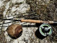 IMG_1850.jpeg
