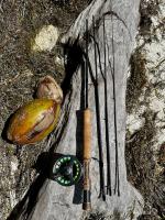 IMG_1847 (1).jpeg