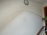 IMG_6908.jpeg
