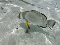 IMG_1886.jpeg