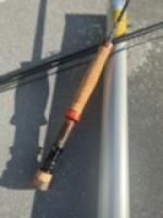 IMG_3713.jpeg
