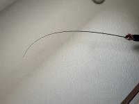 IMG_9504.jpeg
