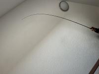 IMG_9498.jpeg