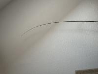 IMG_9503.jpeg