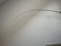 IMG_9499.jpeg