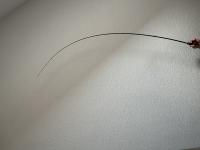 IMG_9505.jpeg