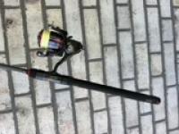 IMG_9729.jpeg