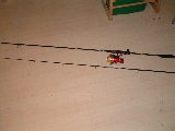 Haus,Elisa,CTS EST 004.jpg