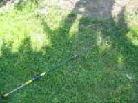 IMG_8078.jpg