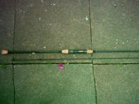 Rutenbau 2010 011 056.jpg