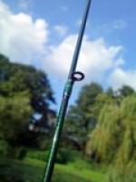 DSC00621.jpg