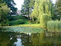 DSC00463.jpg
