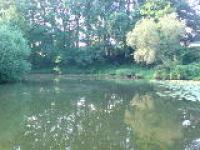 DSC00464.jpg