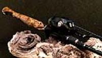 6_AOI_Fisch.jpg