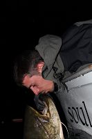 images/avatars/avatar-1260.jpg